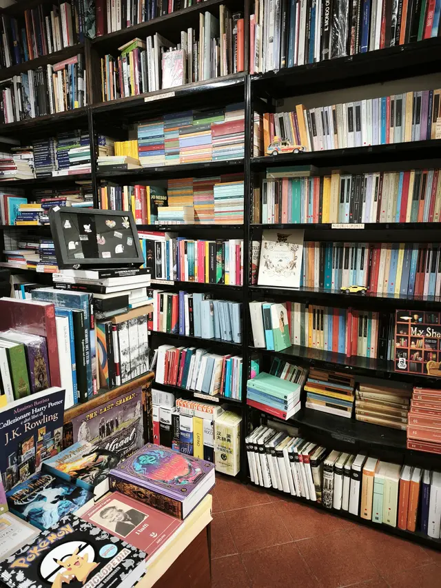 Scaffali pieni di libri usati nella Libreria Asino D'Oro a Torino